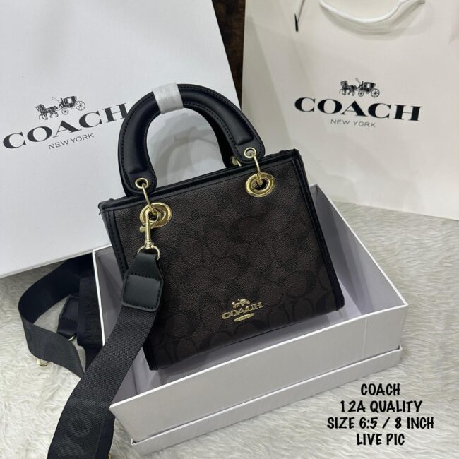 Coach Mini Tote